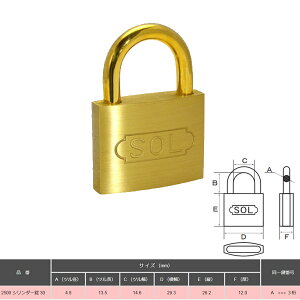 SOL HARD V_[싞 30 ԍw NO.2500