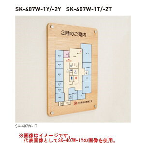 _hz[NGCg ؐē SK407W-1Y H600×W900×D18mm ^