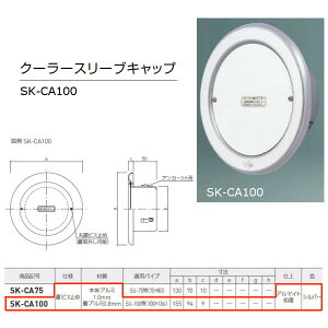 _hz[NGCg N[[X[uLbv W/rX~ A~ Vo[ SK-CA100 1