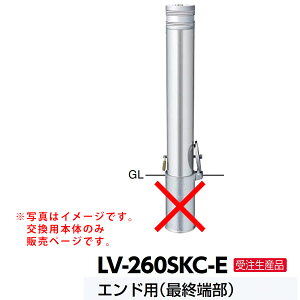 T|[ A~wbht^[JMtԎ~ LV-260SKC-Ep{ Ghp ŏI[