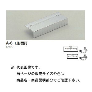 �V���N�} L�`�ʑ� A-6 �V���o�[ 120