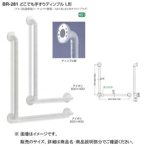 VN} ǂł肷 fBvL` BR-281 600×600mm 32 AC{