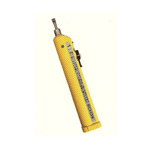 nEX{bNX zbgiCt B2006