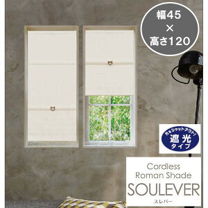 �R�[�h���X ���[�}���V�F�[�h �X���o�[ ��45×����120cm �Ռ��^�C�v �A�C�{���[ L6222 1��