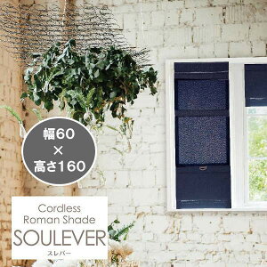 �R�[�h���X ���[�}���V�F�[�h �X���o�[ ��60×����160cm �f�j���^�C�v L6236 1��