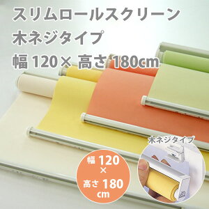 X[XN[ ؃lW^Cv 120 × 180cm Kii S4F ǂꂩ1