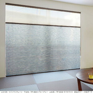 g[\[ v[cXN[ a ʗt 25 VOX^C R[h^Cv TP-8001`TP-8025 805`1200mm 300`600mm