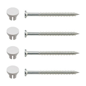 カクダイ 洗濯機用防水パン取付ビス・キャップセット 426-497