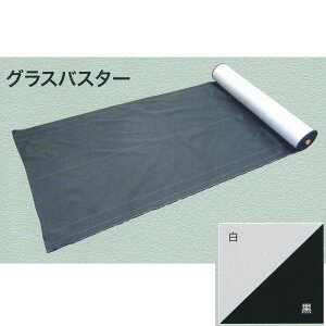 匚 hV[g OXoX^[ ^ 1m×50m QM0401-121