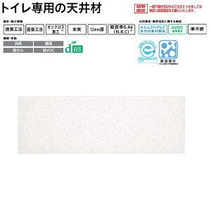 DAIKEN �_�C���[�g�� �g�C���p�V��� �N���A�g�[�� 12S2 12mm�� 303×910mm 6���i1.65���ĕ��j TA9300