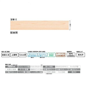 DAIKEN t[O w WPC񂱂 w12 fbNX 8 i3.08āj ֓ԗp YP0323-2