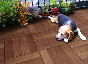 aOrA oRj[tA 91.5×135cm BFL-01135 219595