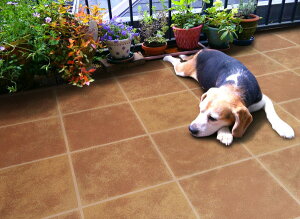 aOrA oRj[tA 91.5×135cm BFL-02135 219625