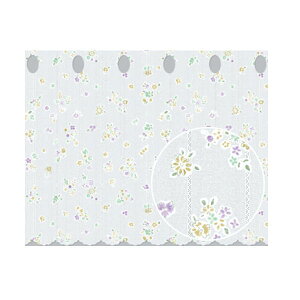 aOrA hhJrJtFJ[e CFCR-01 75cm×20m PP 195837