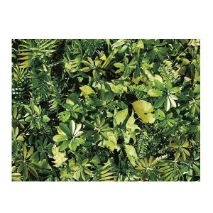 明和グラビア 貼ってはがせる デコタイルシート DGT-08 ウォールグリーン 25cm×100cm 221093