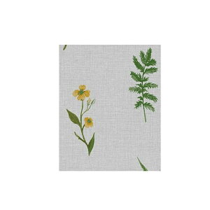 aOrA SDvg[XNX PLV-101 120cm×20m B