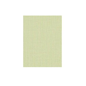 ���a�O���r�A SD�V���L�[�N���X SLV-200 130cm×20m�� GR