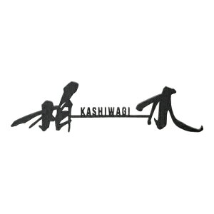 ZNtg \D XeXؕ ނ KG-41-