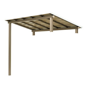 ZNtg 和 \l Zbg SRY-Y-