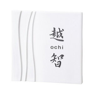 ���Z�N���t�g �\�D �J�[�� �y��d�z TC-21