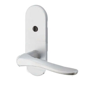 GMo[ limited silver Ԏd؏  D-900 TXS-1K12 obNZbg51mm