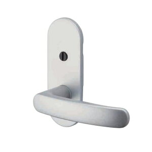 GMo[ limited silver Ԏd؏  D-900 TXS-1H12 obNZbg51mm