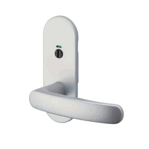 GMo[ limited silver \  D-900 TXS-1H42 obNZbg51mm