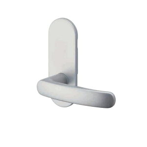 GMo[ limited silver   D-900 TXS-1H02 obNZbg51mm