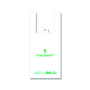 VW} W F oCInhnCp[ SS 006901851 100