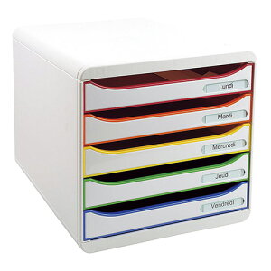 エグザコンタ ビッグボックス プラス 309913D 1個