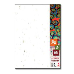 剮X aݎ B5   100P i-751V 1R