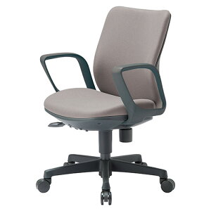 �A�C�R �����p�`�F�A OA-3115FJ(FG3)AGR 1�r