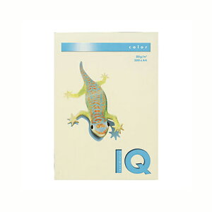 ɓ oCIgbvJ[ A4i500j BT530 oj 1