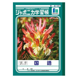 VEm[g B5.JL|11. 12sc[_[ JL-11 10