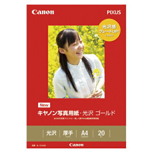 Lm ʐ^pS[h A4 20 GL-101A420 1