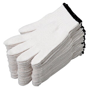 ~^jCP ȍRuEv 12o 202437 1g