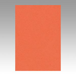 ebN j[J[ 8 100  GO8NCR-213 1