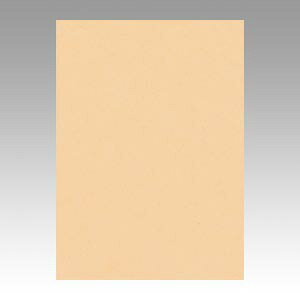 ebN j[J[ 4 100 炿 GO4NCR-111 1