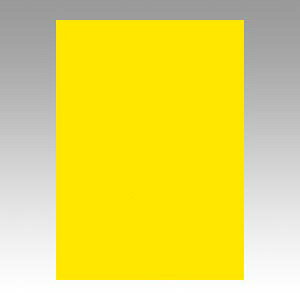 �����e�b�N �j���[�J���[ 4�� 100�� �Ђ܂�� GO4NCR-318 1��