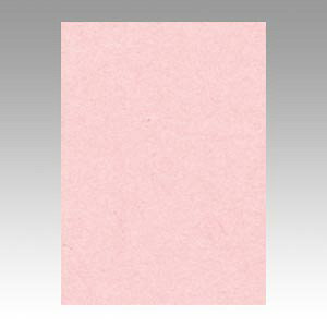 �����e�b�N �j���[�J���[ 4�� 100�� �������� GO4NCR-102 1��