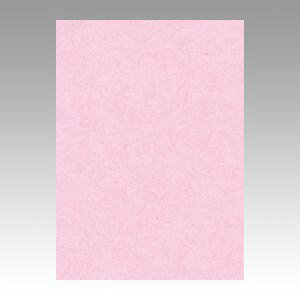 ebN j[J[ 4 100  GO4NCR-218 1