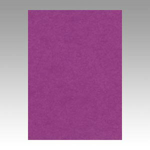 �����e�b�N �j���[�J���[ 4�� 100�� �ނ炳�� GO4NCR-241 1��