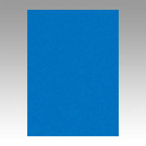 ebN j[J[ 4 100  GO4NCR-239 1