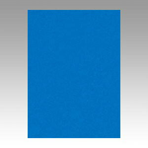 ^ j[J[R 10  10-239 1{