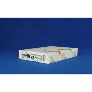 kzIB NEWt@CJ[ B5 500 Cgu[ 1