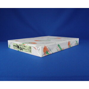 kzIB NEWt@CJ[ B4 500 O[ 1