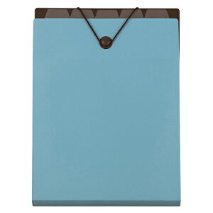 iJoV t@C bNTbNt@C A4 u[ DF-A411S-B