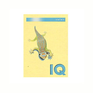 ɓ oCIgbvJ[ A4i500j BT503 1