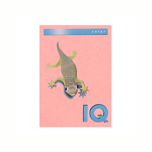 ɓ oCIgbvJ[ A4i500j BT504 1