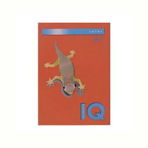 ɓ oCIgbvJ[ A4i500j BT519 ubNbh 1